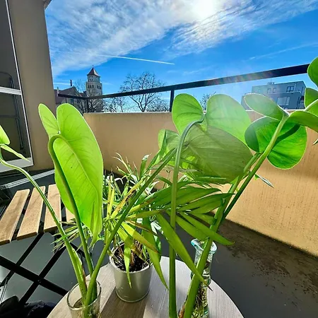 2-room With Balcony And Kitchen Apartment Nürnberg